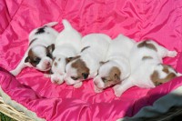 /album/foto/vrh-b-jpg1/